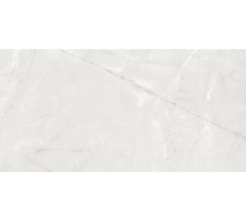 Timeless Pearl Керамогранит светло-серый LP6012G0011R 59,5х119,1 матовый карвинг
