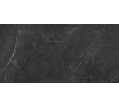 Timeless Grafite Керамогранит графит LP6012G0031R 59,5х119,1 матовый карвинг