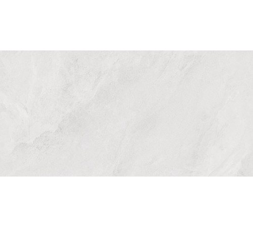 Porter Silver PRO Керамогранит светло-серый LP6012G0171R 59,5х119,1 матовый карвинг R10 STR