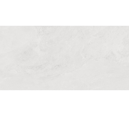 Porter Silver PRO Керамогранит светло-серый LP6012G0171R 59,5х119,1 матовый карвинг R10 STR