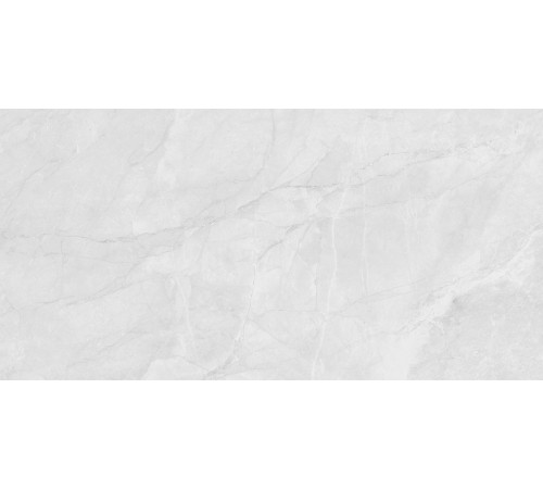 Berna Silver Керамогранит светло-серый LP6012G0231R 59,5х119,1 структурный карвинг