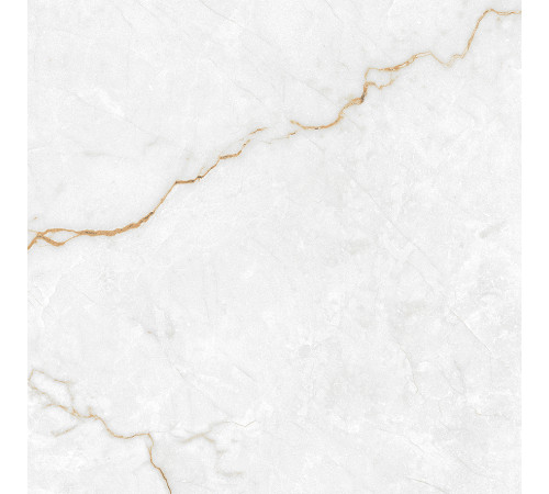 Torso Gold Керамогранит 60х60 Полированный