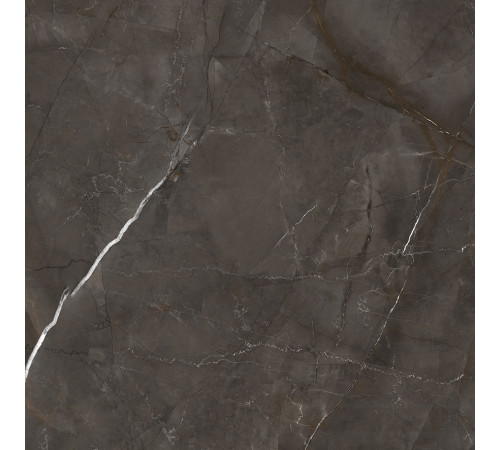 Timeless Marrone Керамогранит коричневый LP6060G0061R 59,5х59,5 матовый карвинг