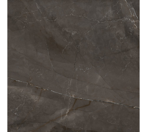 Timeless Marrone Керамогранит коричневый LP6060G0061R 59,5х59,5 матовый карвинг