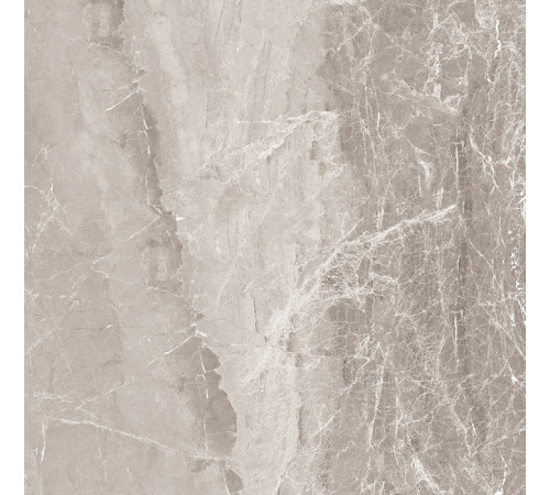 Nostalgic Silver Керамогранит 60х60 Полированный