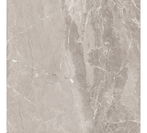 Nostalgic Silver Керамогранит 60х60 Полированный