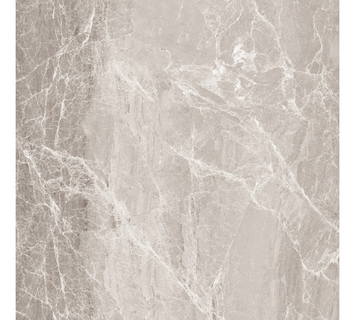 Nostalgic Silver Керамогранит 60х60 Полированный