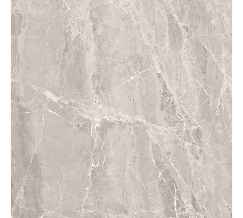 Nostalgic Silver Керамогранит 60х60 Полированный