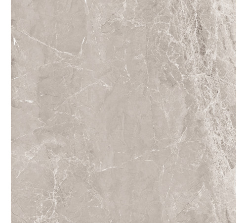 Nostalgic Silver Керамогранит 60х60 Полированный