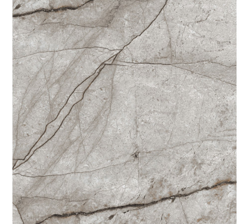 Obsidian Moss Gray Керамогранит 60х60 Полированный