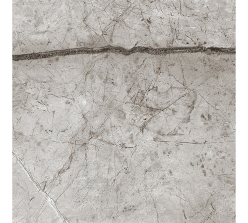 Obsidian Moss Gray Керамогранит 60х60 Полированный