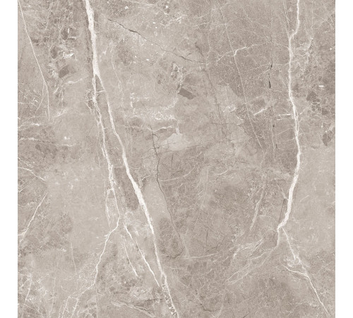 Obsidian Grey Керамогранит 60х60 Матовый