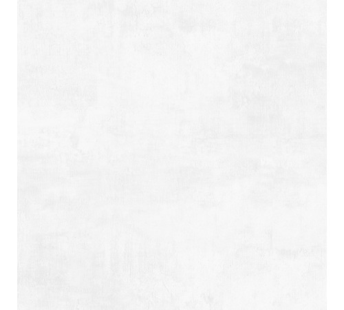 Flagman PRO Керамогранит светло-серый K952736R0001LPET 59,7х59,7 R10