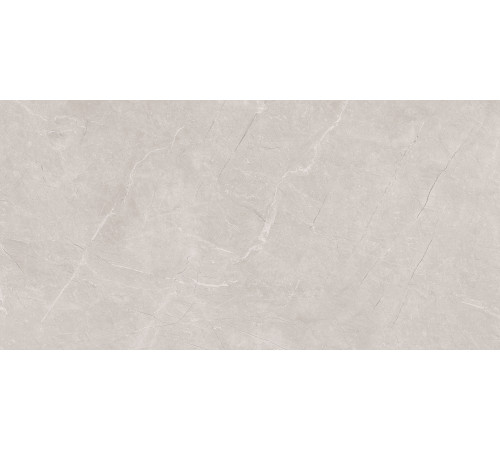 Stone Divine Grey Керамогранит серый 60х120 Матовый
