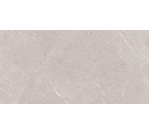 Stone Sovereign Керамогранит серый 60х120 Матовый