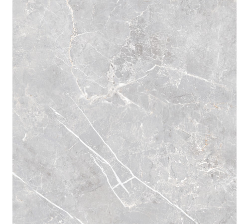 Lune Grigio Керамогранит серый LP6060G0071R 59,5х59,5 матовый карвинг