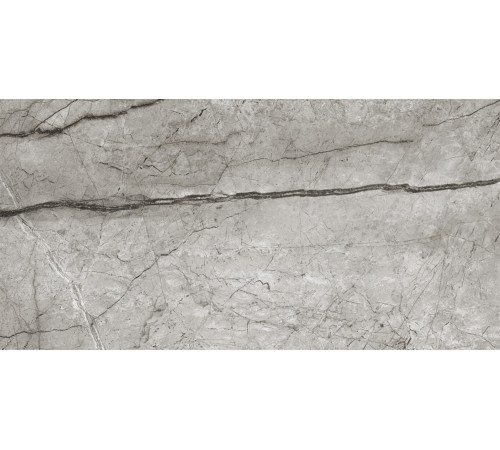 Obsidian Moss Gray Керамогранит 60х120 Полированный