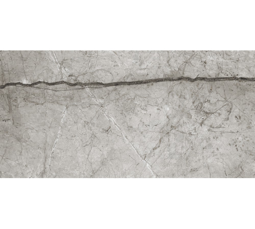 Obsidian Moss Gray Керамогранит 60х120 Полированный