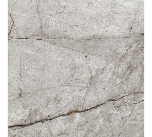 Obsidian Moss Gray Керамогранит 60х60 матовый