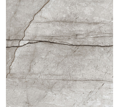 Obsidian Moss Gray Керамогранит 60х60 матовый