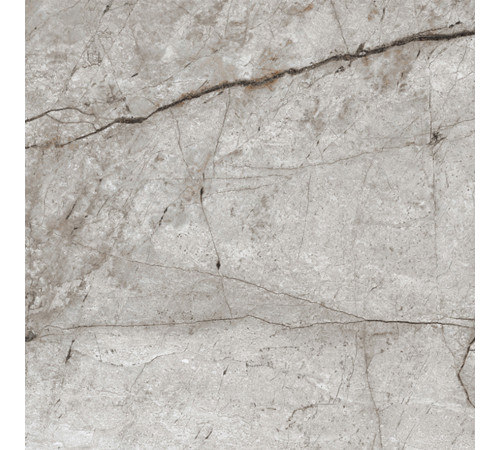 Obsidian Moss Gray Керамогранит 60х60 матовый