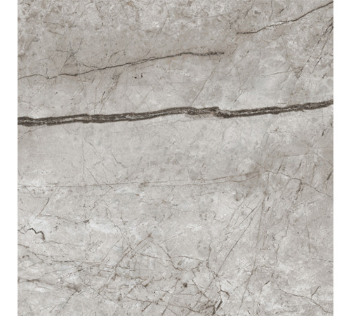 Obsidian Moss Gray Керамогранит 60х60 матовый