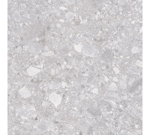 Matrix Керамогранит светло-серый K952738R0001LPET 59,7х59,7
