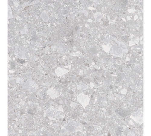 Matrix Керамогранит светло-серый K952738R0001LPET 59,7х59,7