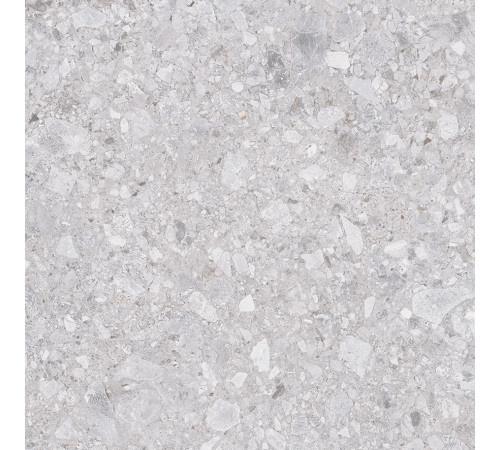 Matrix Керамогранит светло-серый K952738R0001LPET 59,7х59,7