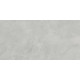 Evolution Smoke Керамогранит светло-серый SG50001120R 59,5х119,1 Матовый Карвинг