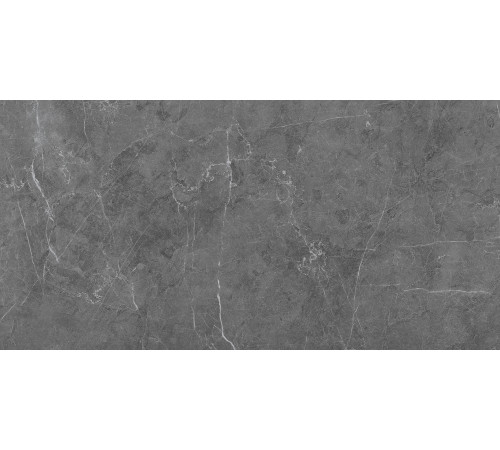 Legend Керамогранит серый K948163LPR01LPER 59,7х119,7 лаппатированный