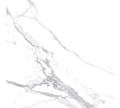 Calacatta Splendid Silver Керамогранит белый 60х60 Матовый