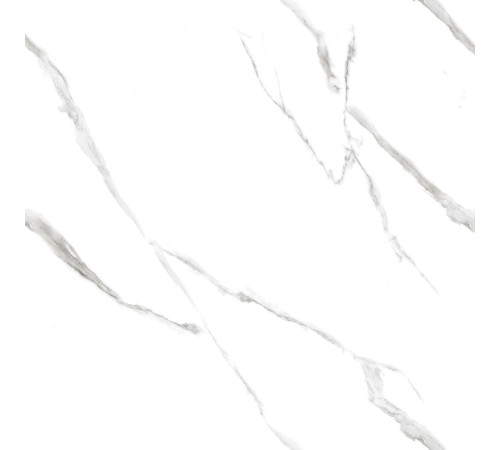 Calacatta Pleasant Керамогранит белый 60х60 Полированный