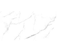 Statuario Wonderful Керамогранит белый 60х120 Полированный