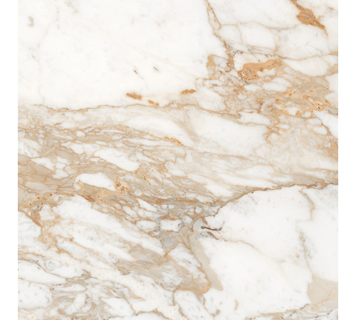 Calacatta Oro Керамогранит золотой 60x60 полированный