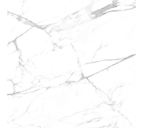 Carrara Terrific Silver Керамогранит белый 60х60 Матовый
