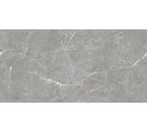 Stone Cool Grey Керамогранит серый 60х120 Матовый