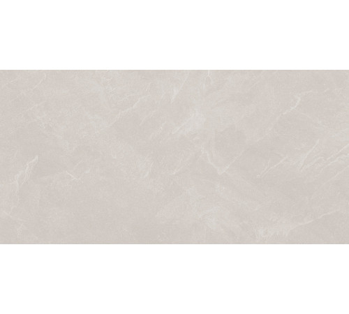 Archie Bianco Pro Керамогранит светло-серый 60х120 матовый R10GR STR
