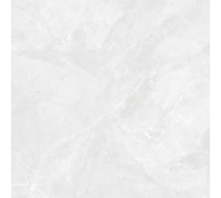 Regnum Bianco Керамогранит светло-серый CR6060G0391R 59,5х59,5 матовый