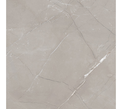 Vitrum Grigio Керамогранит серый 60x60 матовый