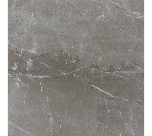 Patara Grigio Керамогранит I Серый 60x60 Полированный