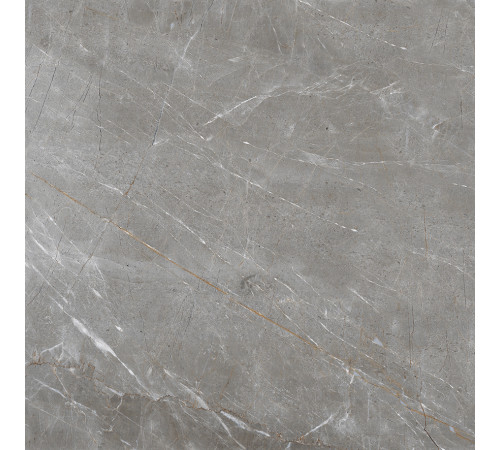 Patara Grigio Керамогранит I Серый 60x60 Полированный