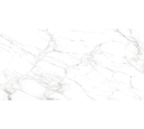 Calacatta Bianco PRO Керамогранит белый 60х120 матовый R10GR CB