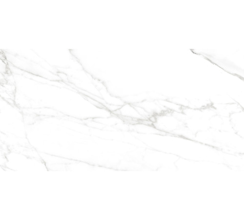 Calacatta Bianco PRO Керамогранит белый 60х120 матовый R10GR CB