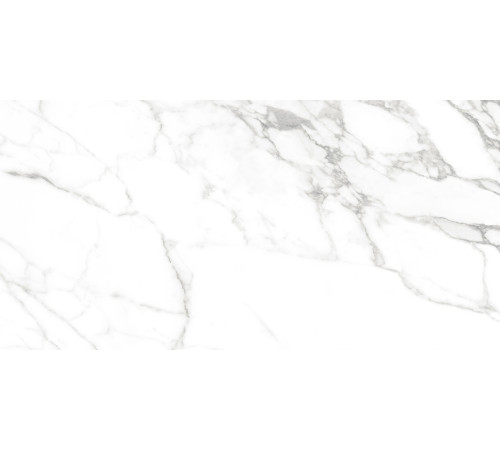 Calacatta Bianco PRO Керамогранит белый 60х120 матовый R10GR CB