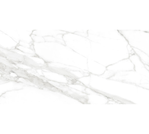 Calacatta Bianco PRO Керамогранит белый 60х120 матовый R10GR CB