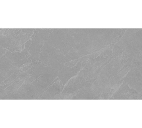 Archie Grey Pro Керамогранит серый 60х120 матовый R10GR STR