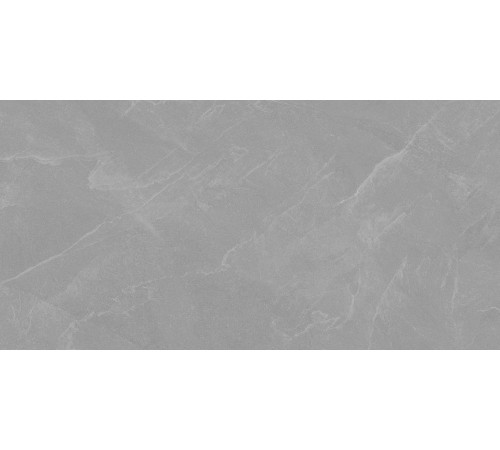 Archie Grey Pro Керамогранит серый 60х120 матовый R10GR STR