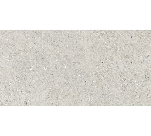 Granito Grigio Керамогранит серый CR6012G0471R 59,5х119,1 матовый