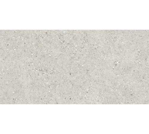 Granito Grigio Керамогранит серый CR6012G0471R 59,5х119,1 матовый